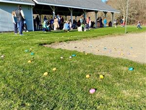 egg hunt