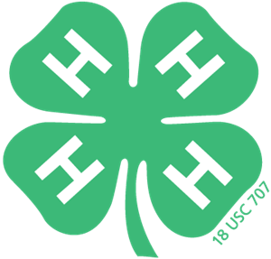 4-H