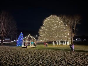 Tree Lighting
